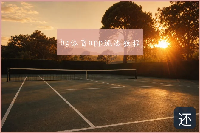 bg体育app玩法教程