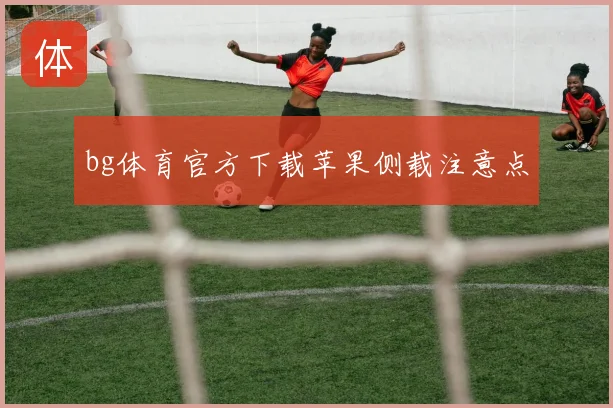bg体育官方下载苹果侧载注意点