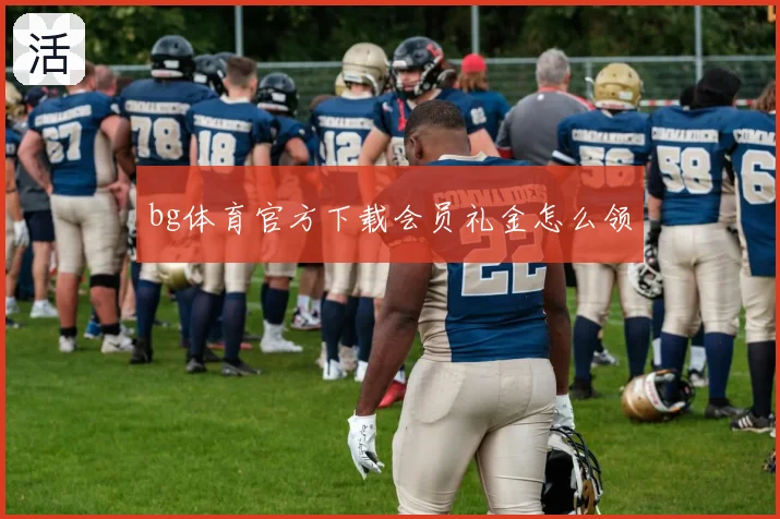 bg体育官方下载会员礼金怎么领